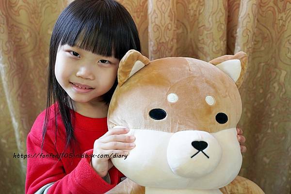范范愛分享推薦傲嘟嘟的柴之助，療癒系娃娃