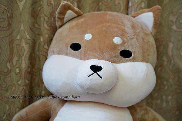 范范愛分享推薦傲嘟嘟的柴之助，療癒系娃娃