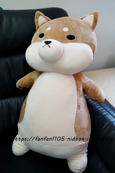 范范愛分享推薦傲嘟嘟的柴之助，療癒系娃娃