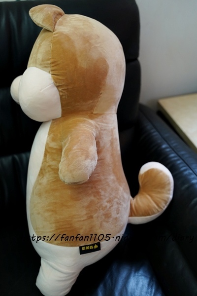 范范愛分享推薦傲嘟嘟的柴之助，療癒系娃娃