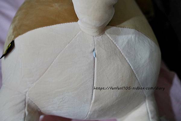 范范愛分享推薦傲嘟嘟的柴之助，療癒系娃娃