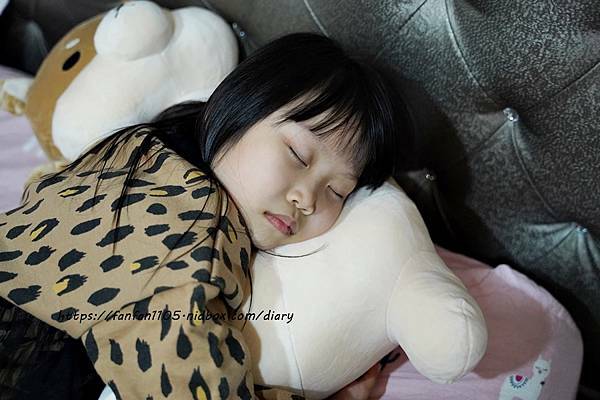 范范愛分享推薦傲嘟嘟的柴之助，療癒系娃娃