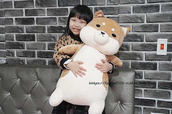 范范愛分享推薦傲嘟嘟的柴之助，療癒系娃娃