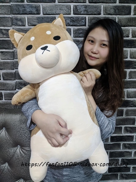 范范愛分享推薦傲嘟嘟的柴之助，療癒系娃娃