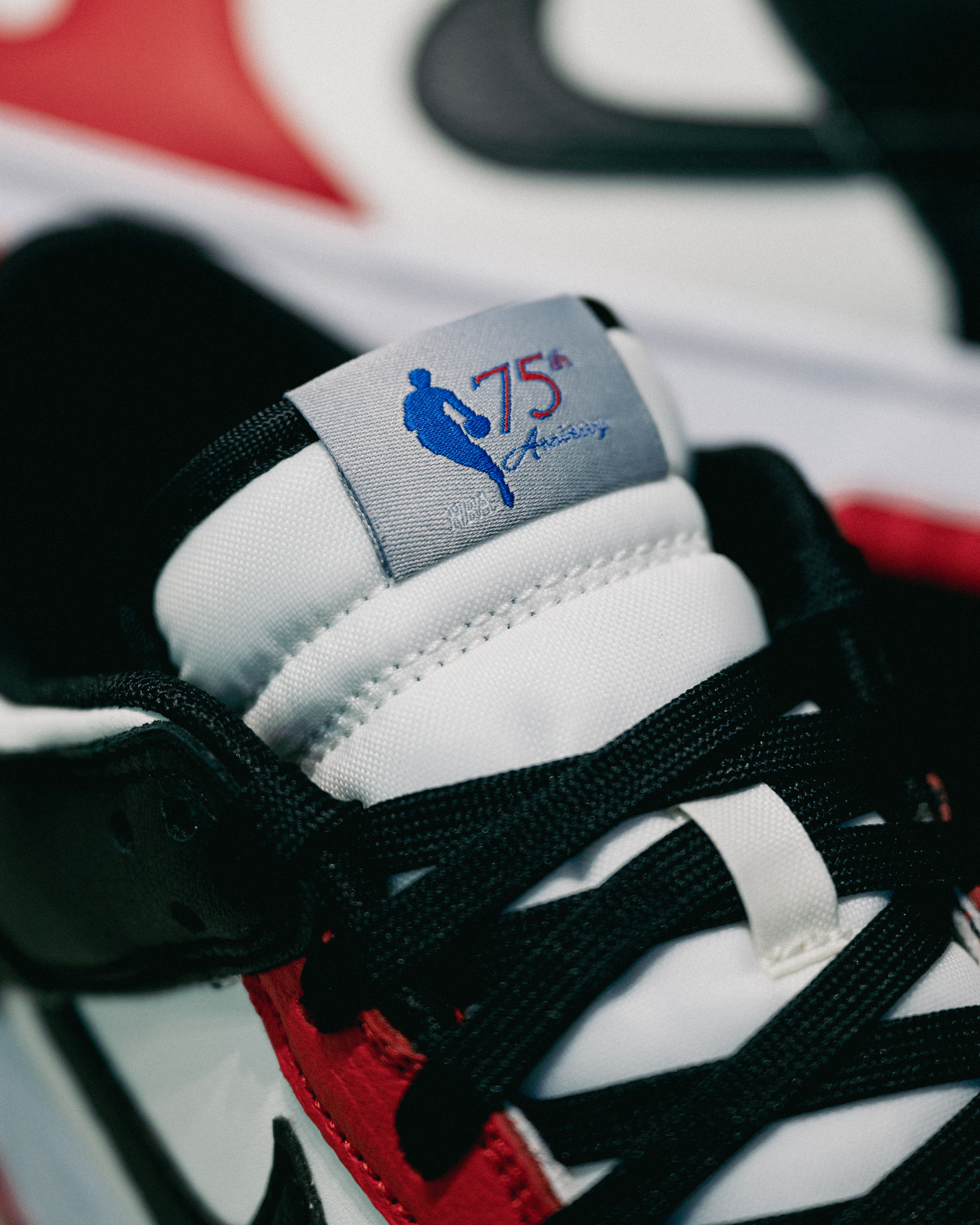 [現貨] NBA x Nike Dunk Low EMB 75th DD3363-100