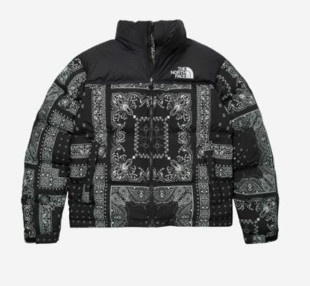 The North Face M's 1996 Novelty Nuptse Jacket Real Black