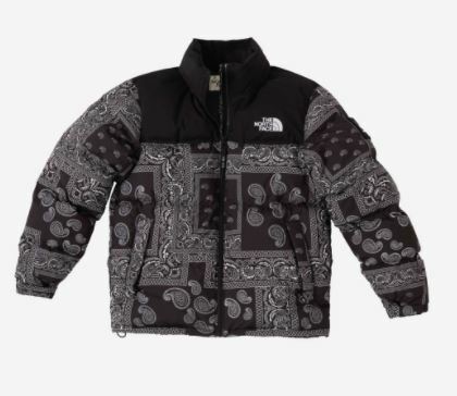 The North Face x Casestudy Nuptse Down Jacket Black