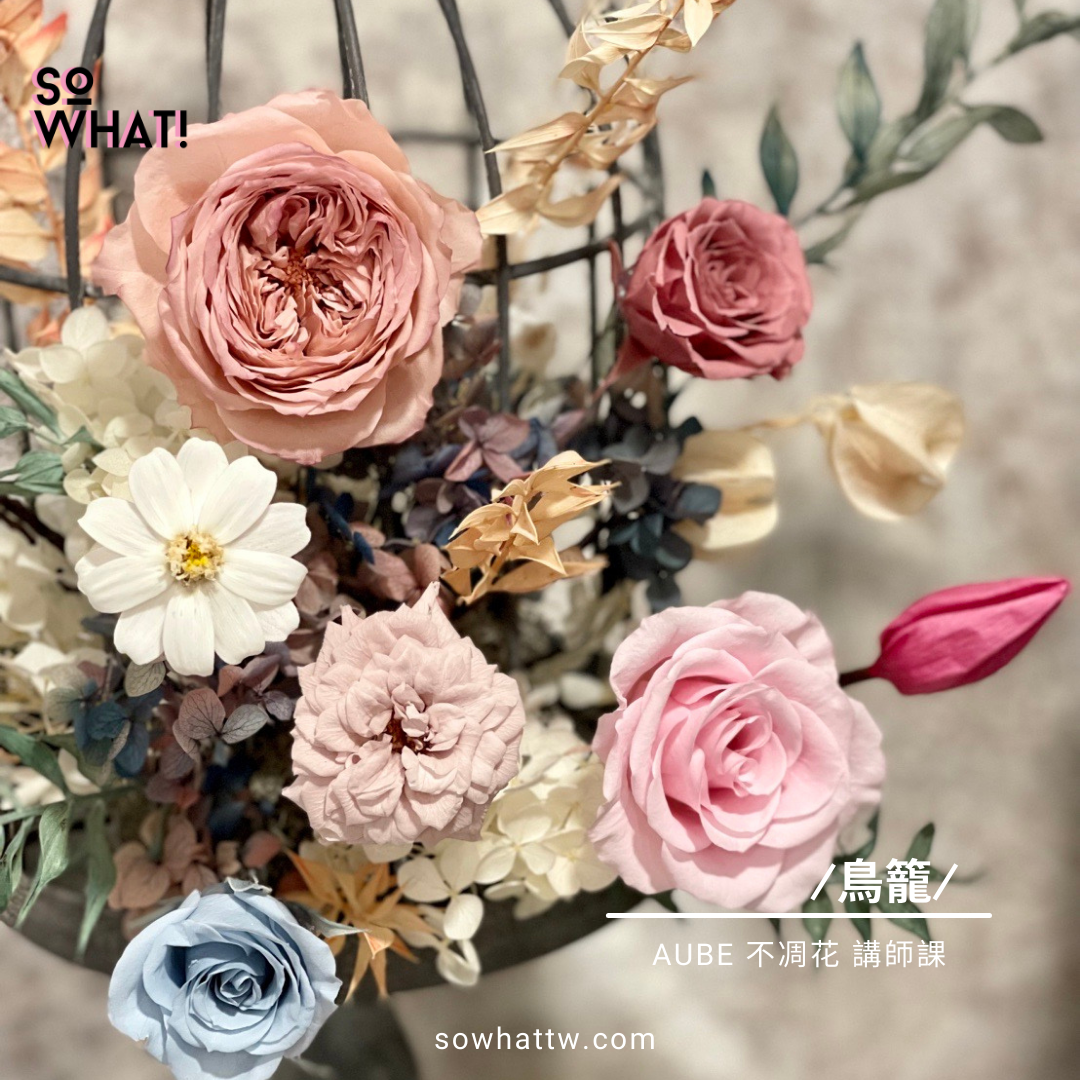 日本 AUBE 不凋花講師課