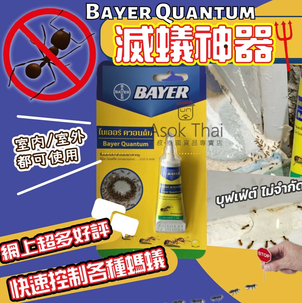 泰國 Bayer Quantum 滅蟻神器
