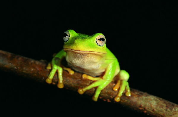 2个规格，有一个为0