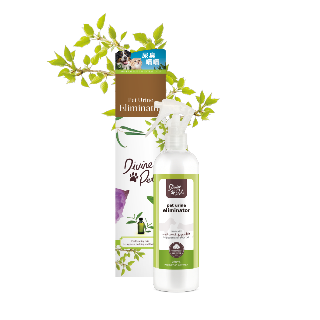 Divine Pets 尿臭噴噴 250ml