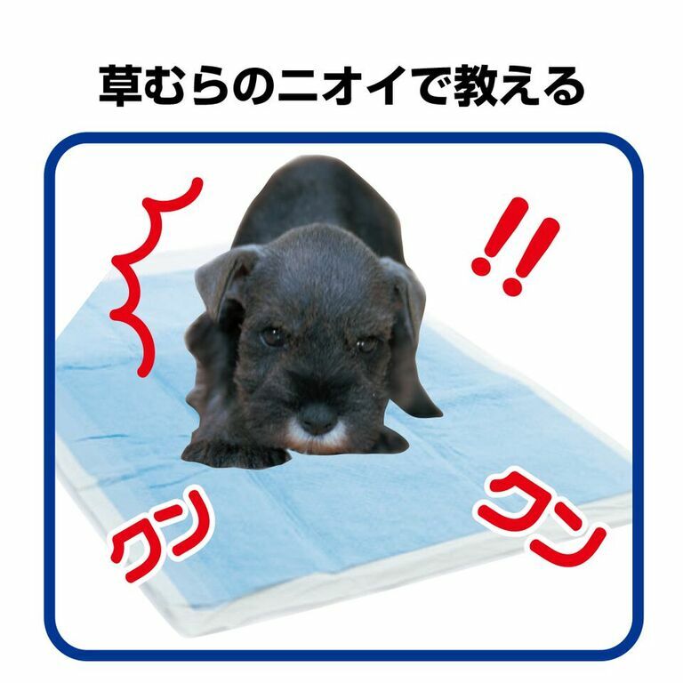 TAURUS 犬貓廁所訓練噴霧 100ml