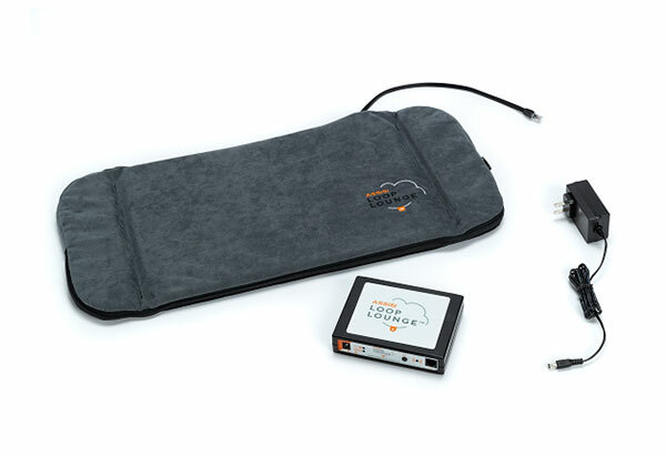 Assisi Loop Lounge Small tPEMF System