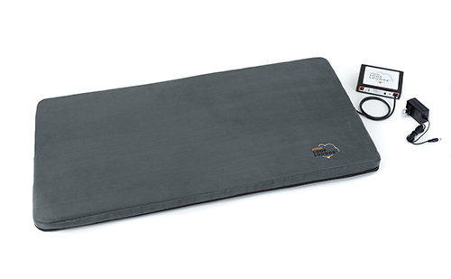 Assisi Loop Lounge Medium tPEMF System