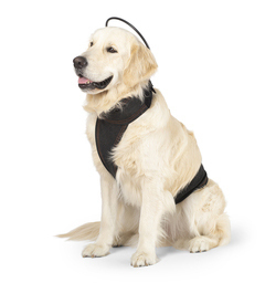 Calmer Canine Anxiety Treatment System: Device + Vest