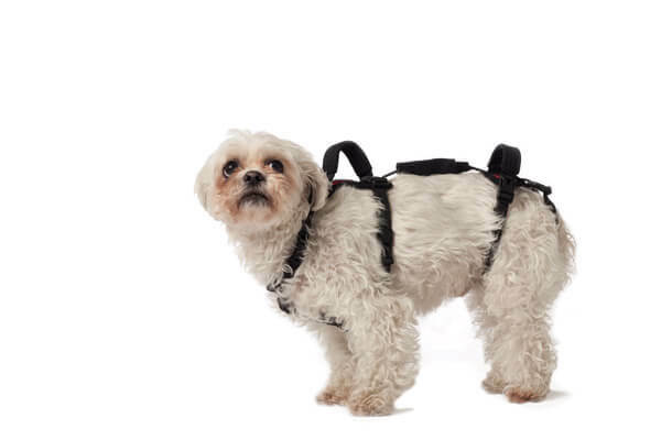Help ‘Em Up  X-Small Dog  (Up to 9kg) Harness