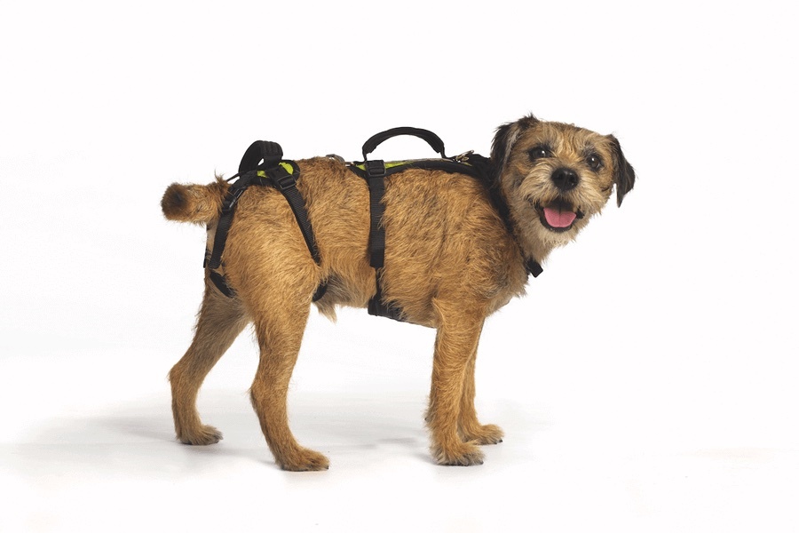 Help ‘Em Up Small Dog (10 - 17kg) Harness