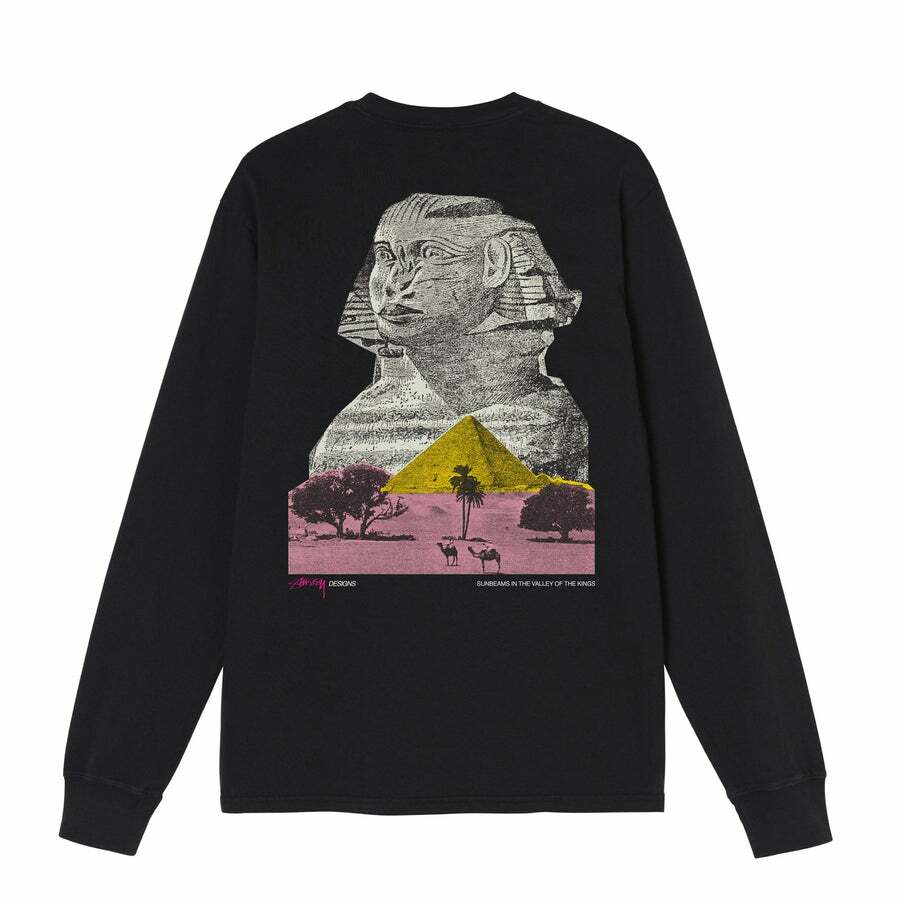 [Instock] STÜSSY HO21 Sphinx Pig Dyed LS Tee Black