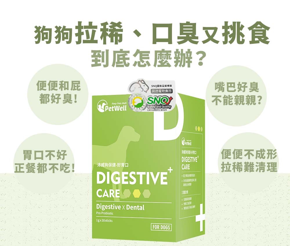 狗狗拉稀口臭又挑食到底怎麼辦 便便和屁都好臭 嘴巴好臭不能親親 胃口不好正餐都不吃 便便不成形 拉稀難處理