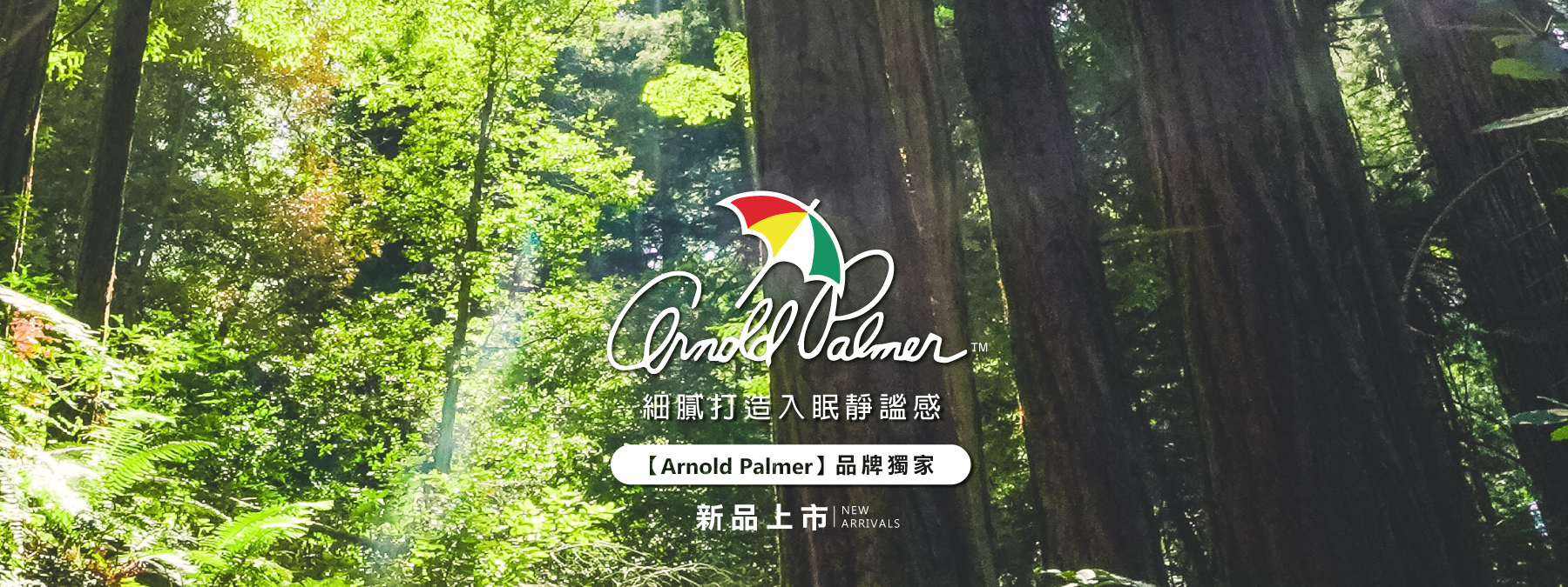 天恩寢具獨家代理Arnold Palmer小雨傘，100%天絲床組新品上市。