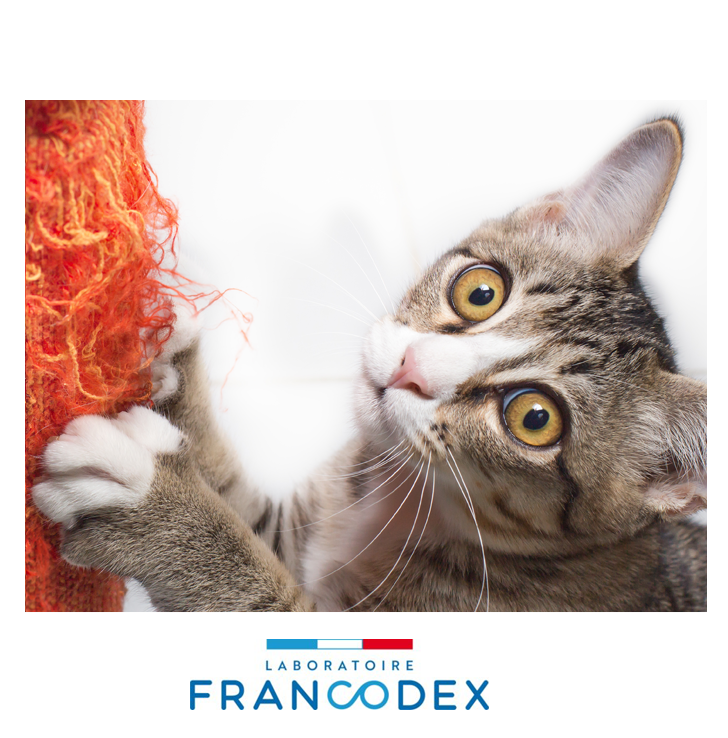 Francodex 貓用．防抓噴霧200ml