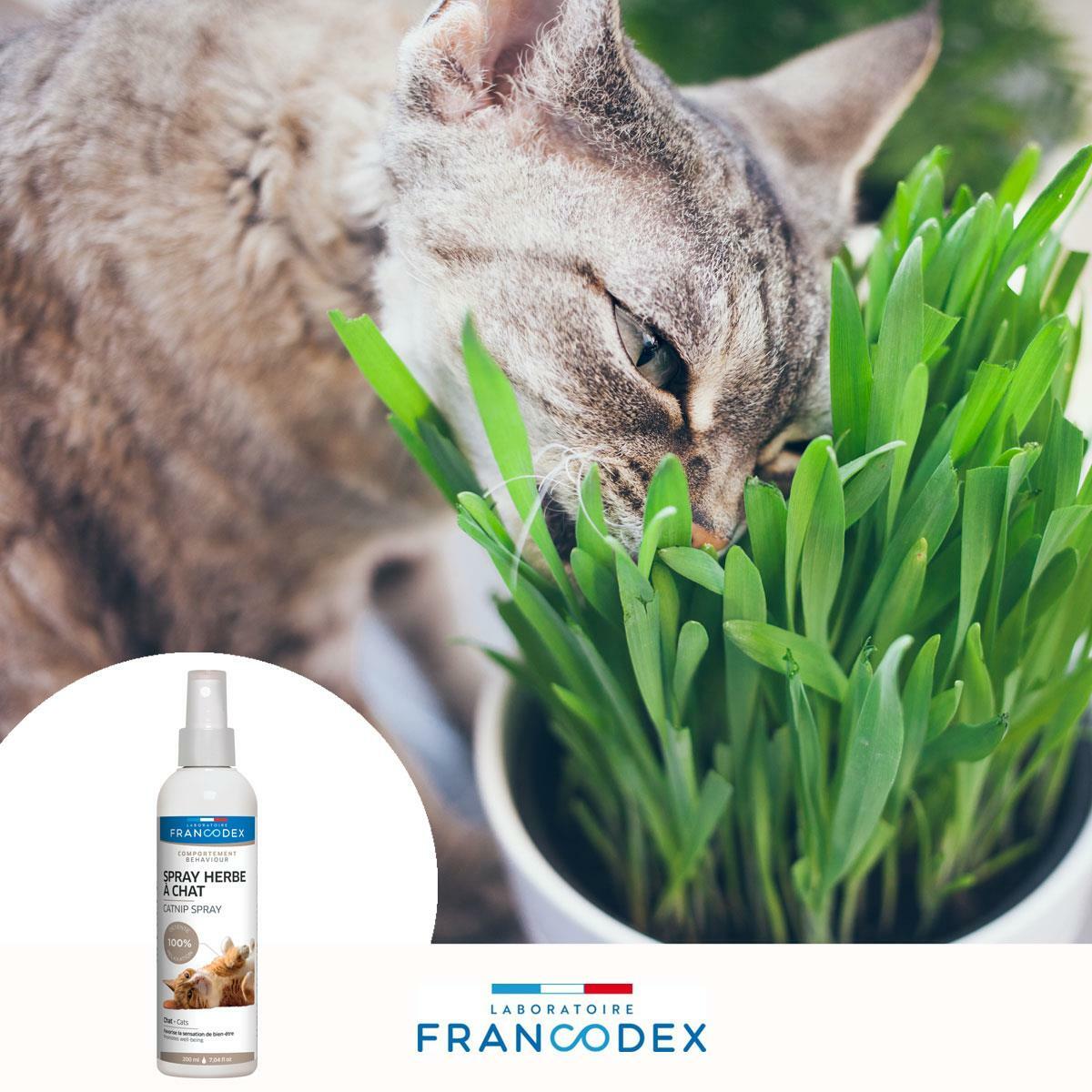 Francodex Catnip Spray For Kittens and Cats 200ml