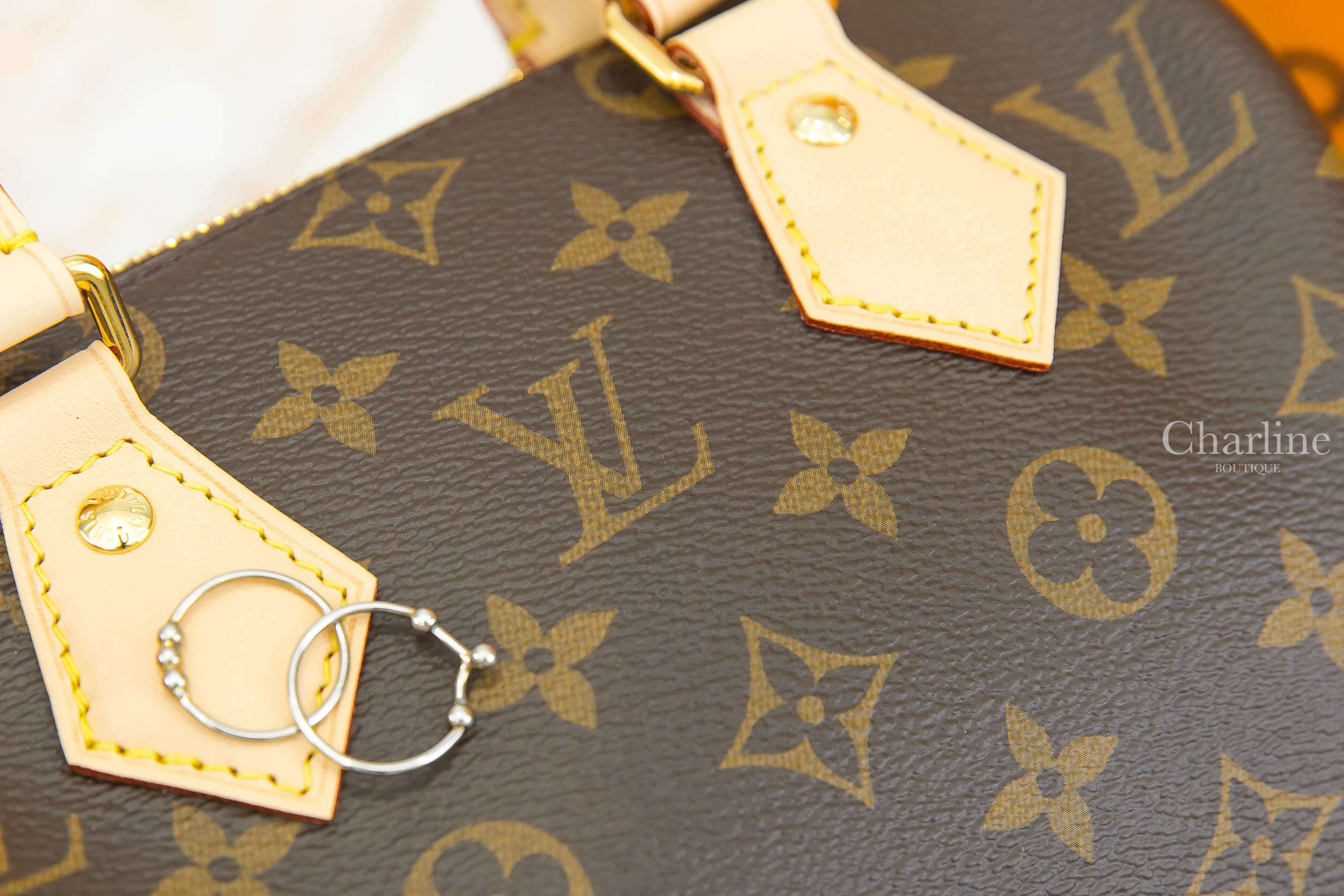 Louis Vuitton Speedy Bandoulière 20 Bag 咖啡色老花帆布米色刺繡黑滾邊寬背帶小牛皮提把手提肩背包