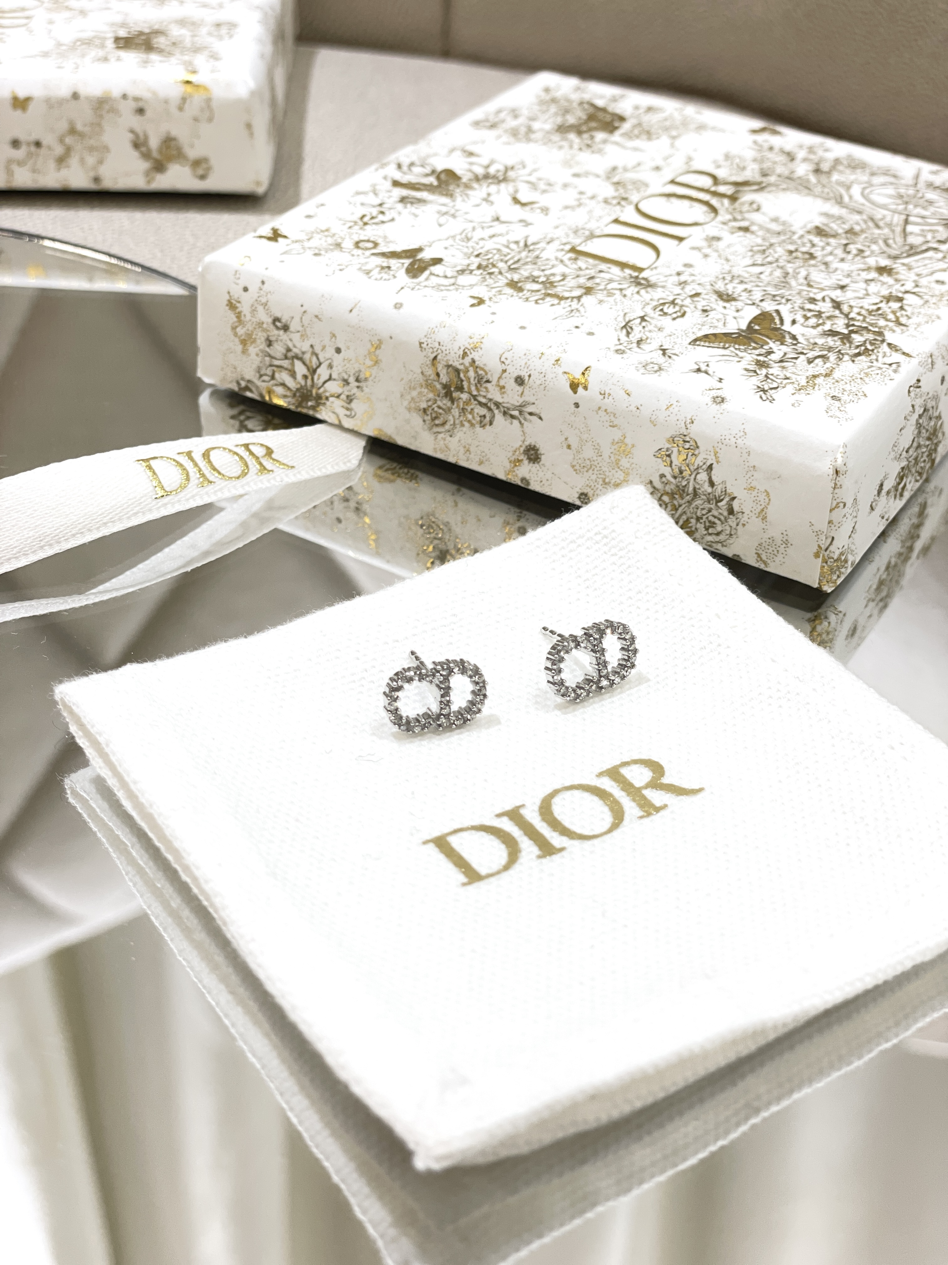 DIOR Clair D Lune Earrings E1715