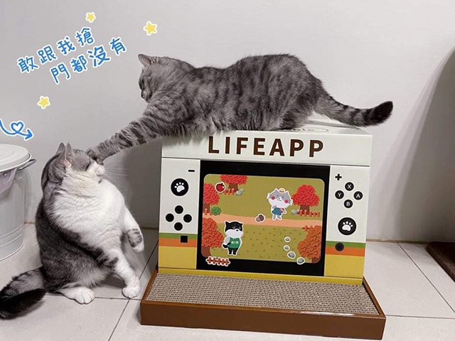 LIFEAPP貓抓遊戲機-Migo是貓？