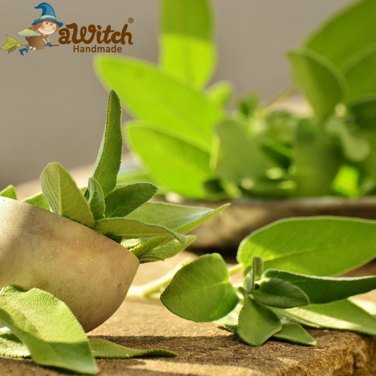 海鹽鼠尾草香水香精