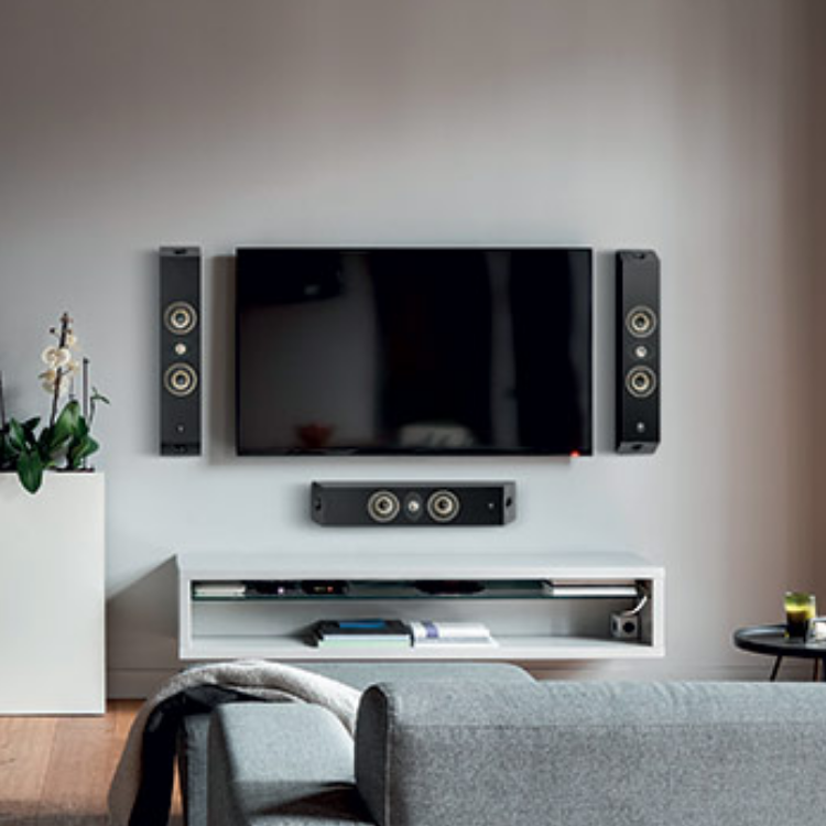 Focal On Wall 301 (1隻)