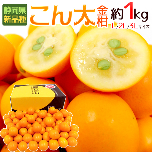 靜岡金柑 (2L/3L) 1KG