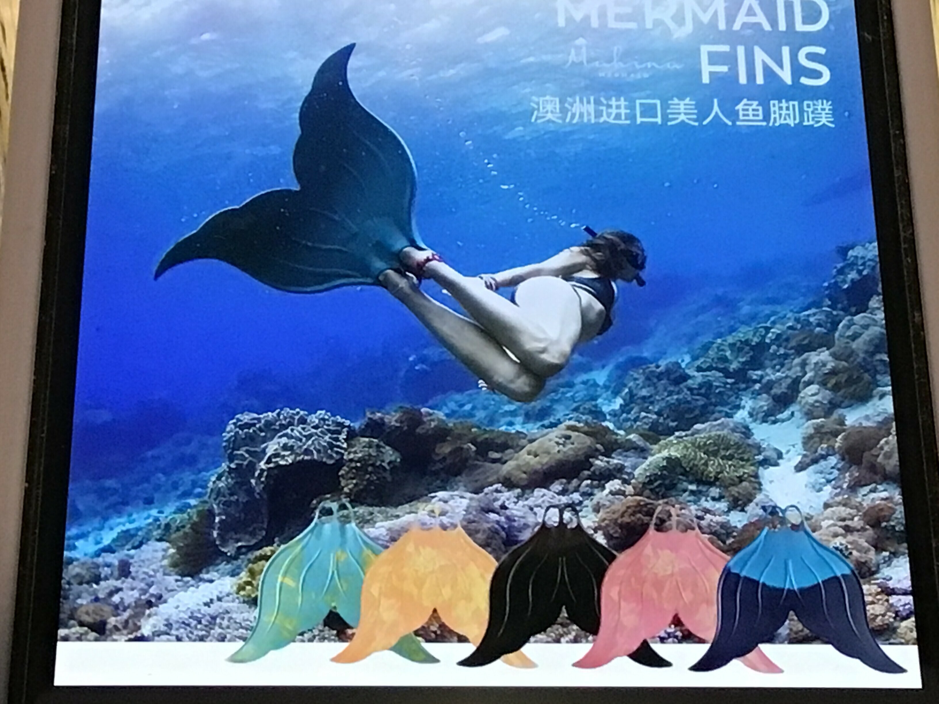 Mermaid Fins美人魚蹼(請備註顏色)