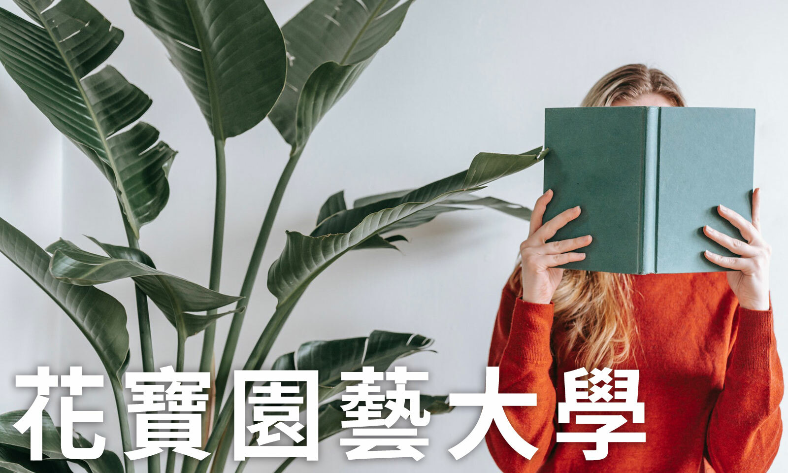 花寶園藝大學 | iGarden花寶愛花園