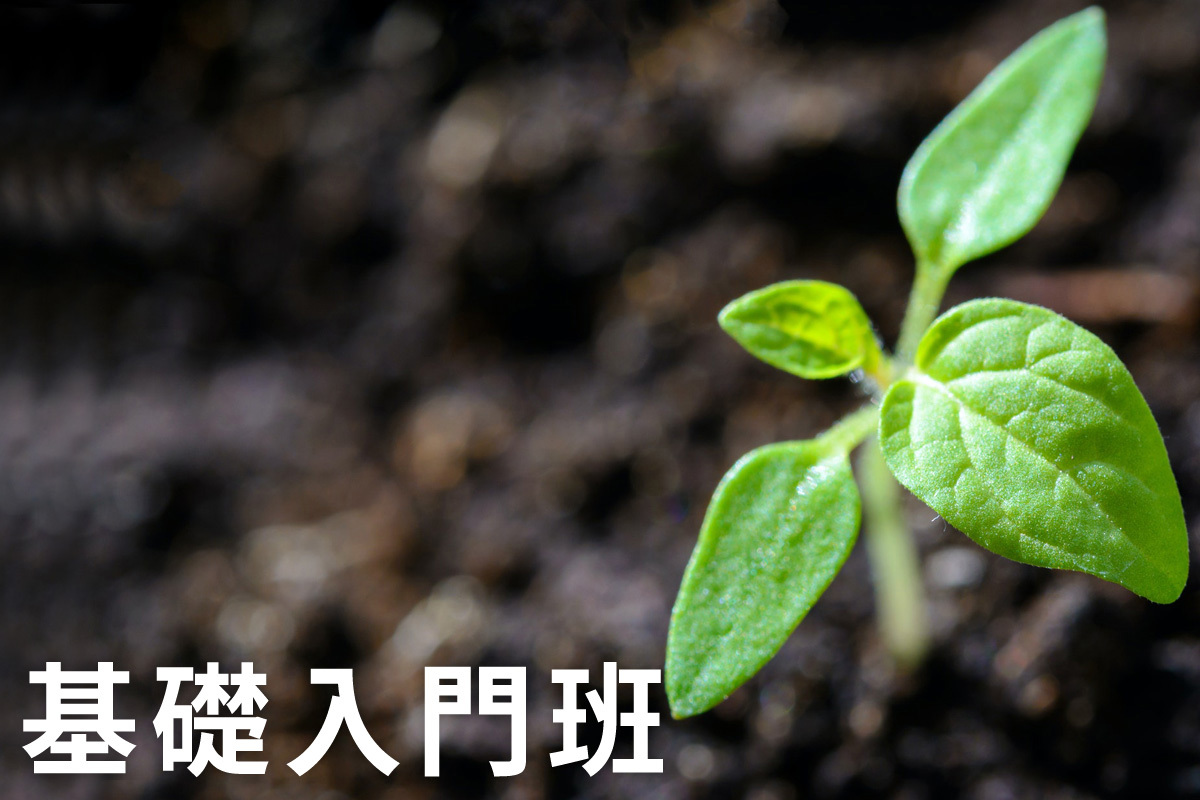 花寶園藝大學 基礎入門班