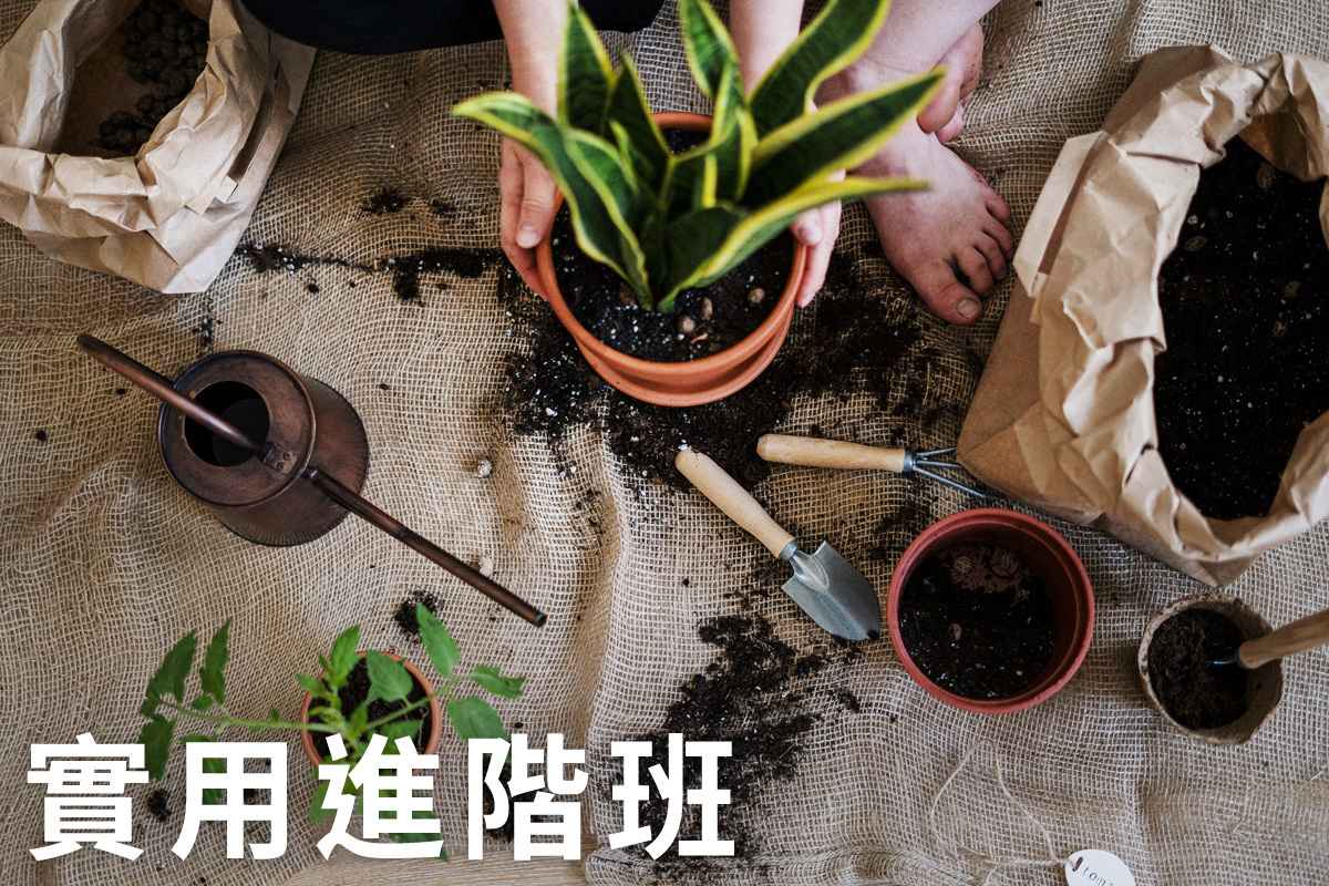 花寶園藝大學 實用進階班