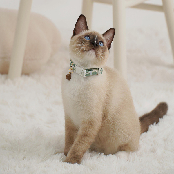 【Pawsholic爪迷 】貓咪鈴鐺安全項圈-薄荷晨露