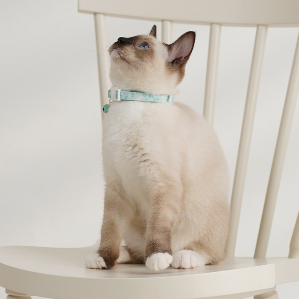 【Pawsholic爪迷 】貓咪鈴鐺安全項圈-雪兔