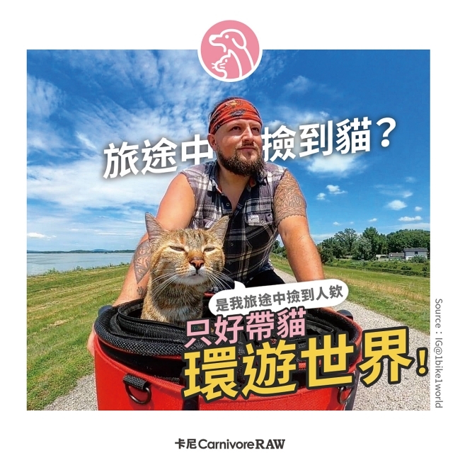 帶貓騎單車環遊世界