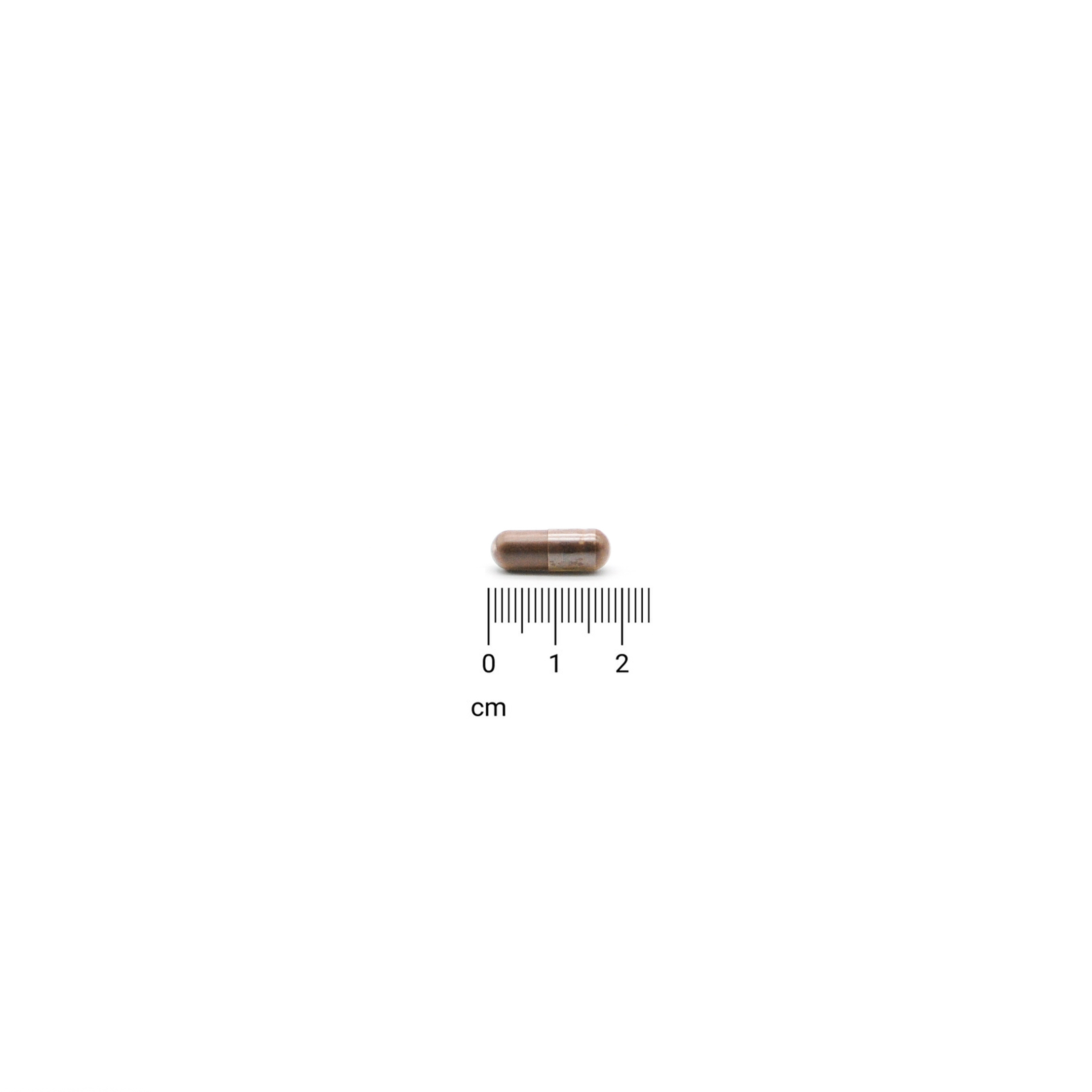 草姬 靈芝孢子 60粒(加舞茸)