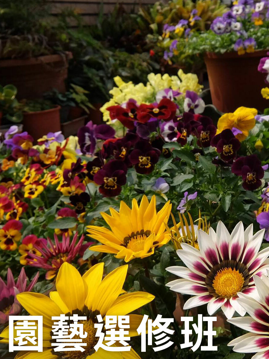 花寶園藝大學 園藝選修班