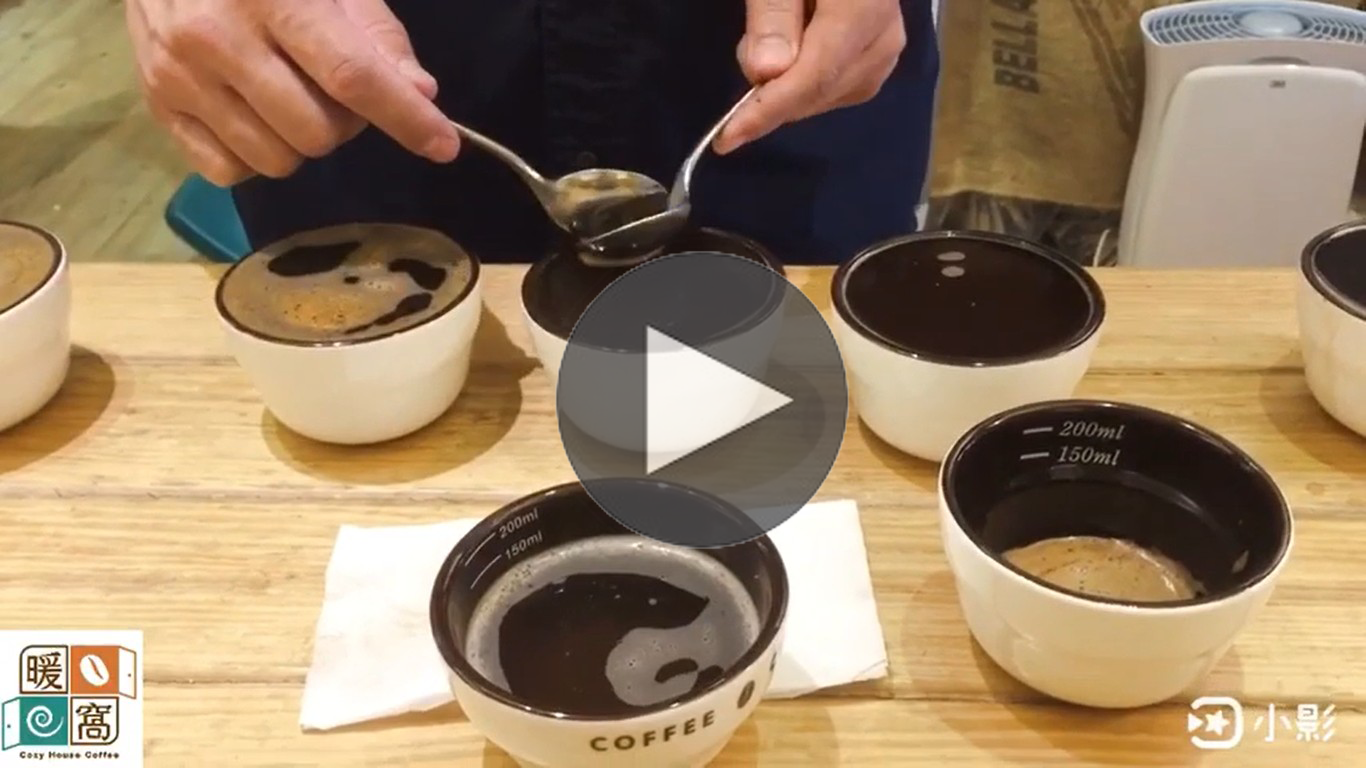 咖啡杯測｜暖窩咖啡｜咖啡教學｜咖啡證書