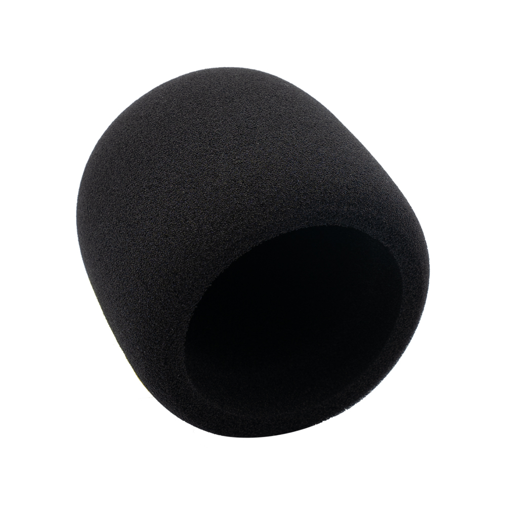 SESSION SWB-2 麥克風 口水罩