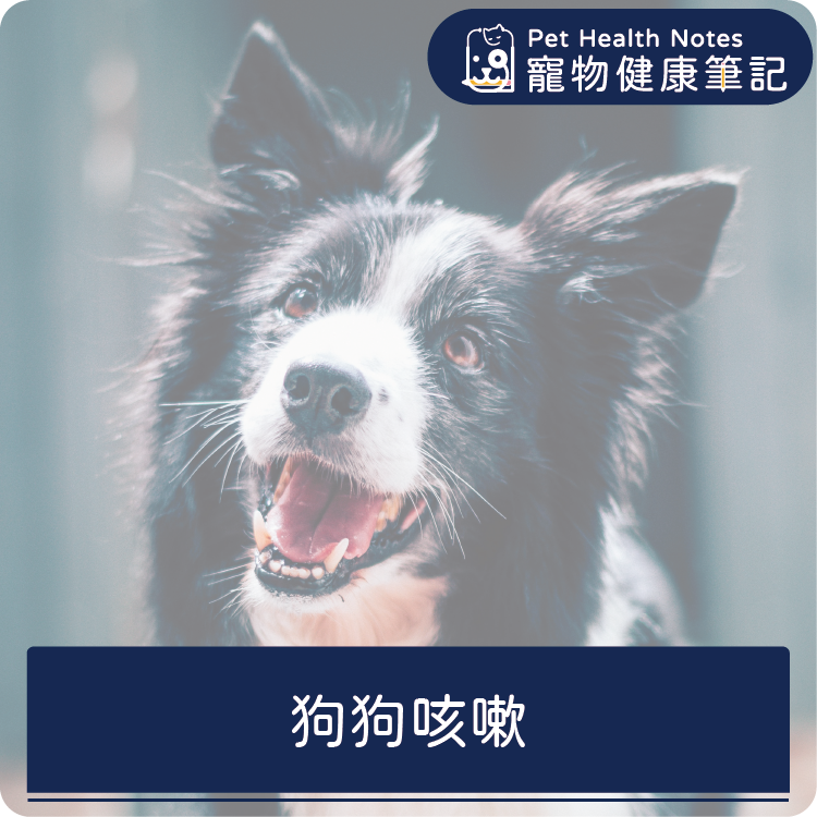 台灣,世界,狗,健康,寵物,品牌,注意,專業,知識,獸醫,健康食品,寵物健康筆記,咳嗽,氣管炎