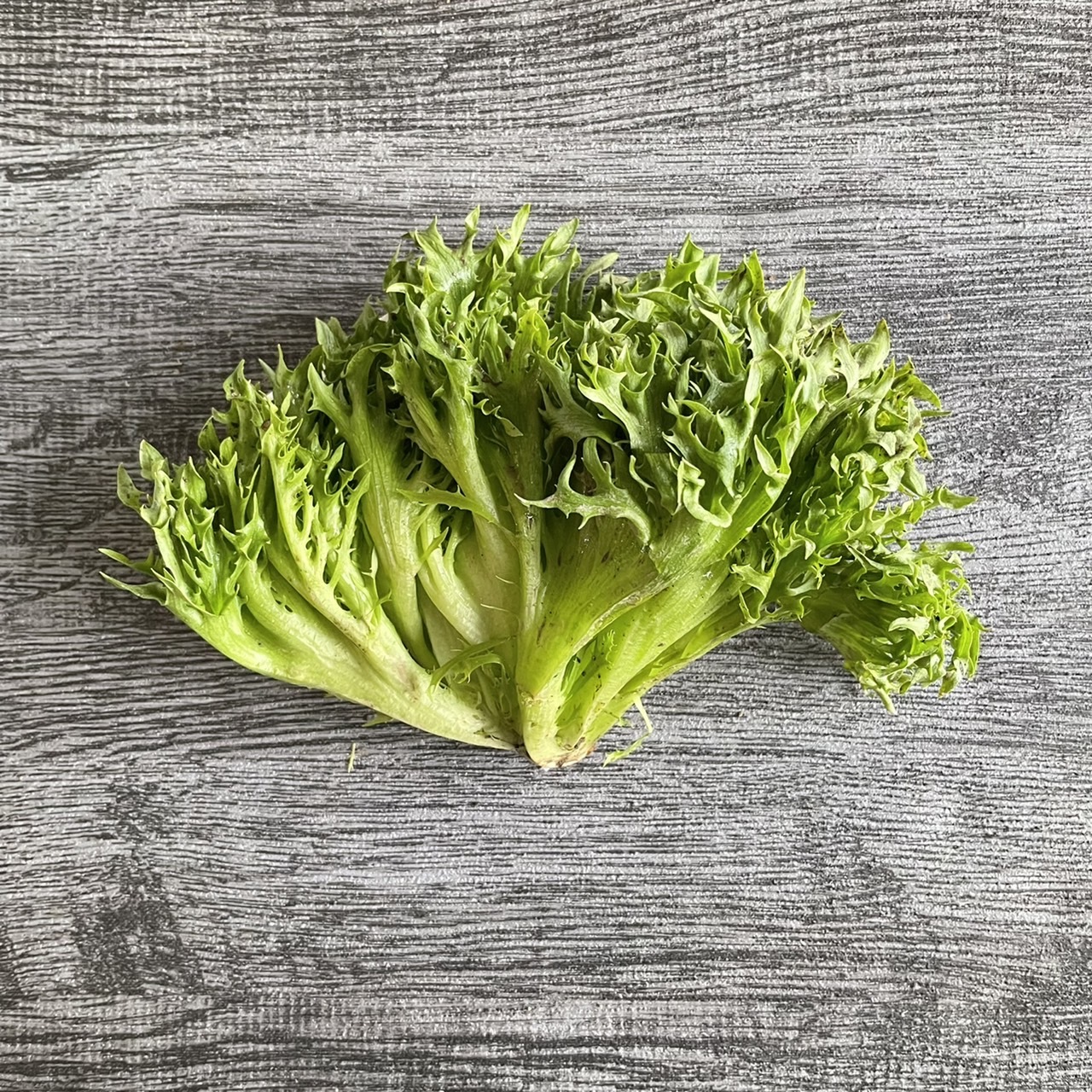 火焰生菜（紅/綠）