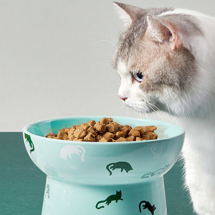 Petkit 陶瓷高腳碗 (大) 淺草綠