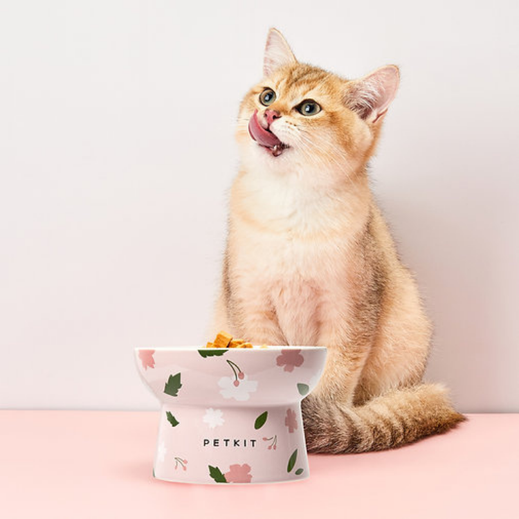 Petkit 陶瓷高腳碗 (大) 櫻花粉