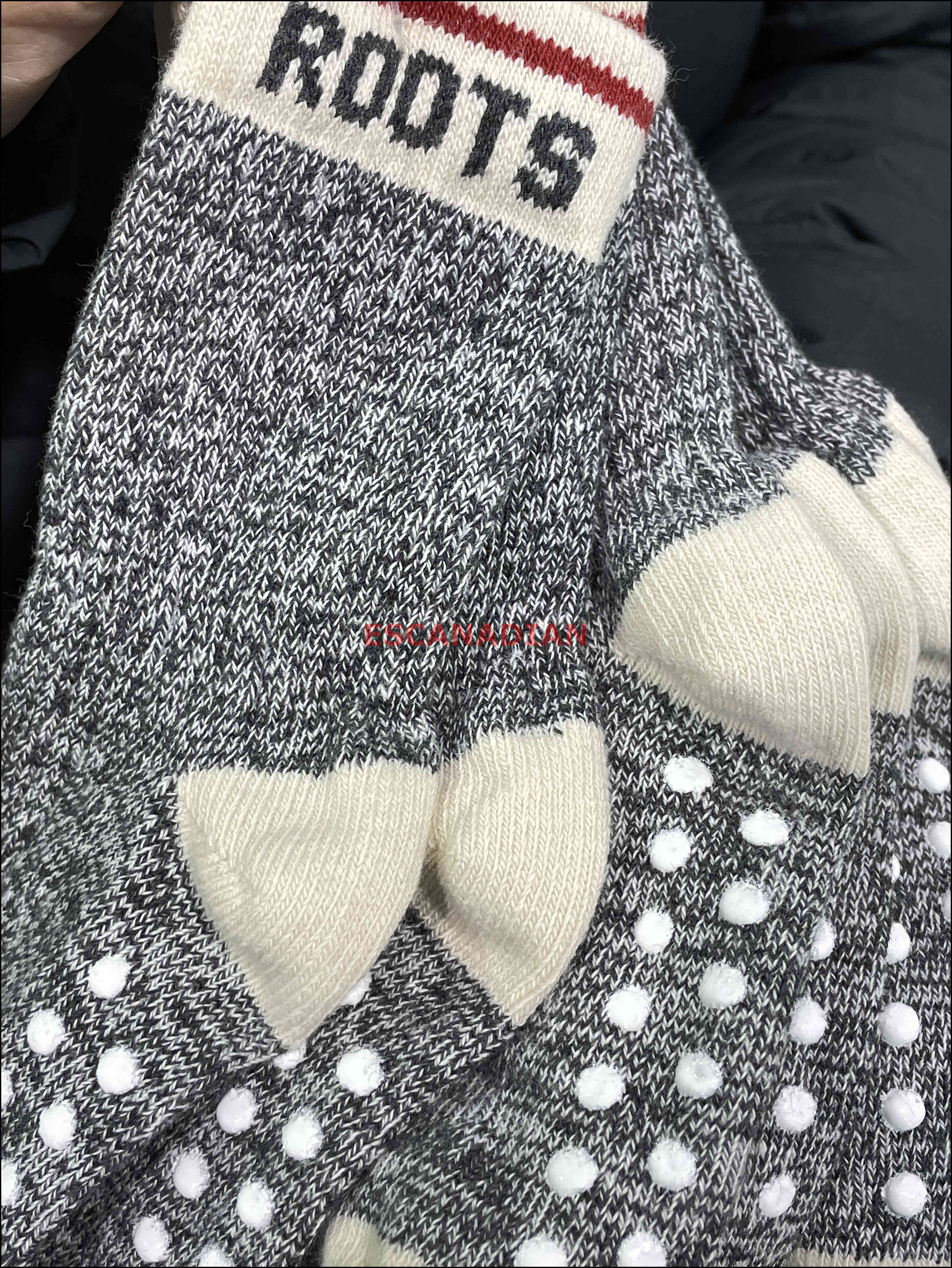 ROOTS 小童/嬰兒 小木屋系列 經典配色 襪子 (3雙一組)