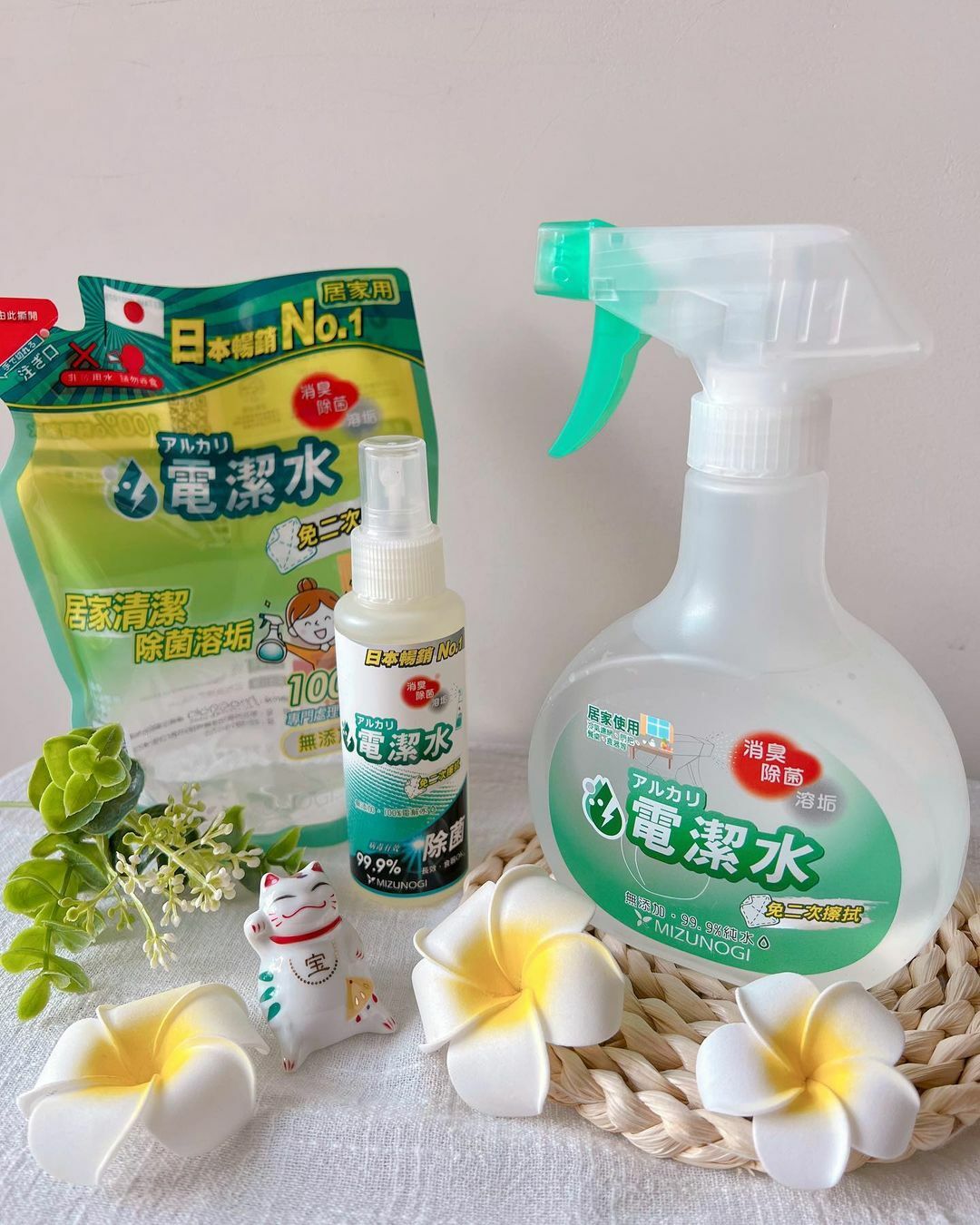 居家天然清潔劑 電潔水