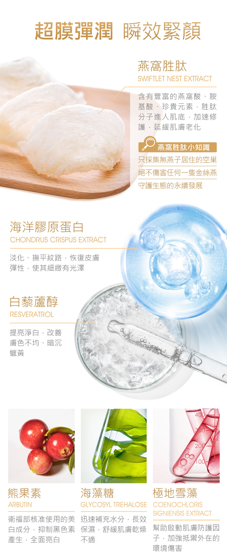 Jealousness - 燕窩胜肽膠原彈力面膜150g